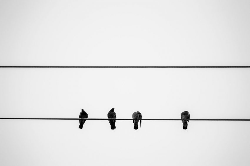 Social Influence